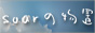 soarの物置